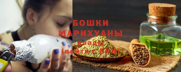соль ск Кулебаки