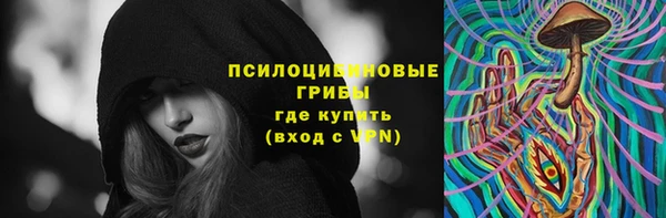 spice Семёнов