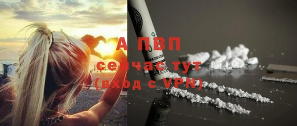 spice Семёнов