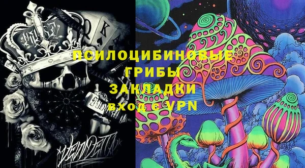 PSILOCYBIN Семилуки